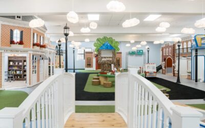 Where Dreams Grew Into Play: The Treehouse Play Place